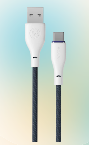 FLEXIN | R-2025 Type-C Cable ( 1.2m length | Braided wire | 3.0Amp Fast charge )