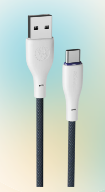 FLEXIN | R-2025 Type-C Cable ( 1.2m length | Braided wire | 3.0Amp Fast charge )